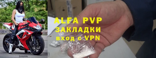 стаф Алексин