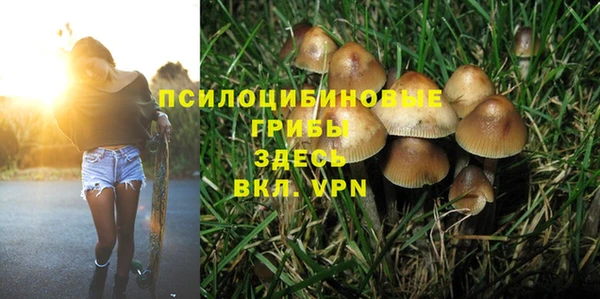 кокс Абаза