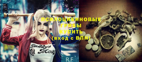 герыч Гусь-Хрустальный